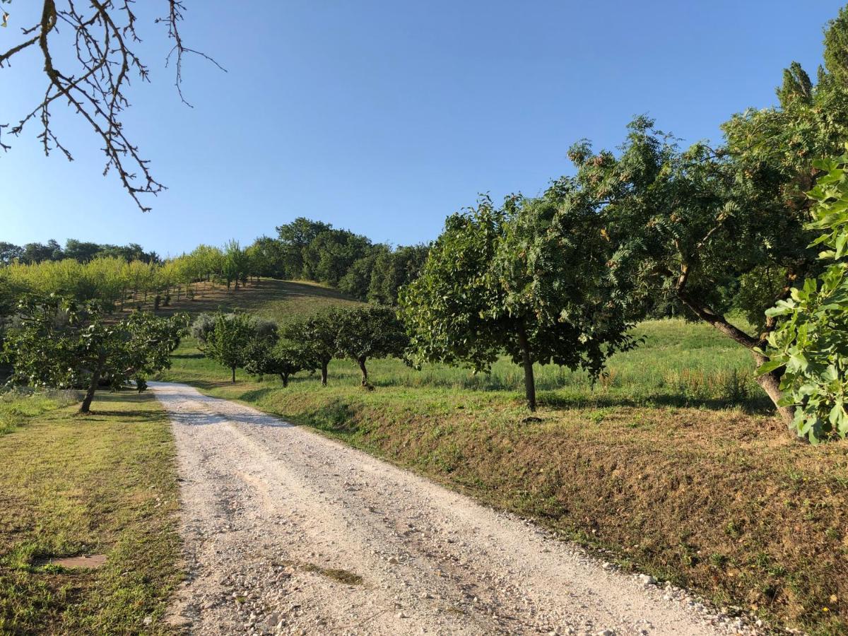 Bed and Breakfast Dai Ventu Pesaro Exterior foto